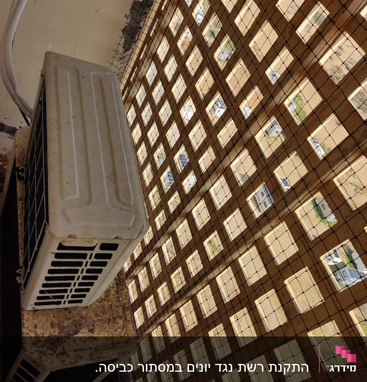 רשת למניעת כניסת יונים על חלון